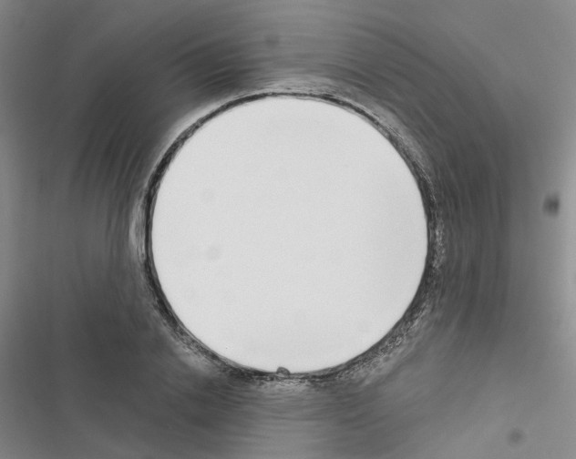 X0000116430838201001191509
