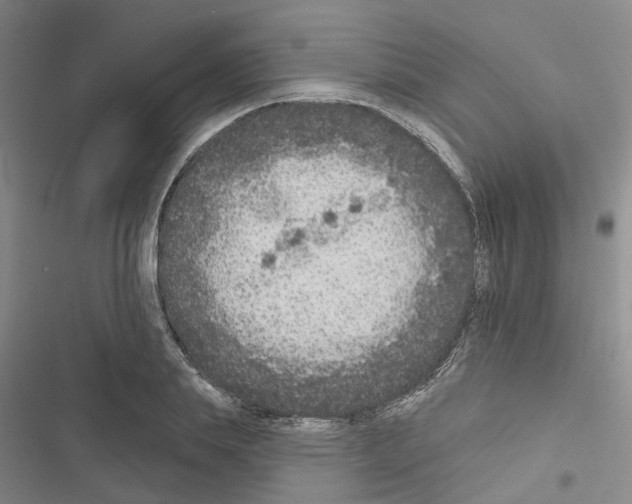 X0000116430839201001191509