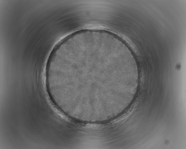 X0000116430840201001191509