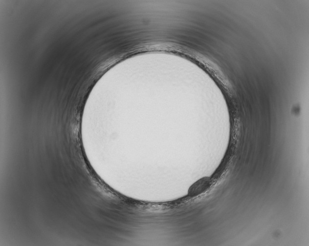 X0000116430841201001191509