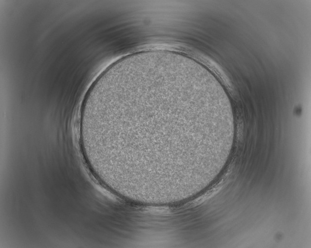 X0000116430844201001191509