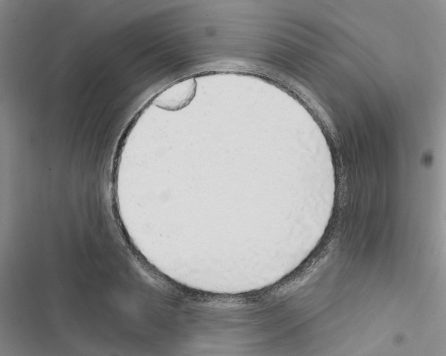 X0000116430845201001191509