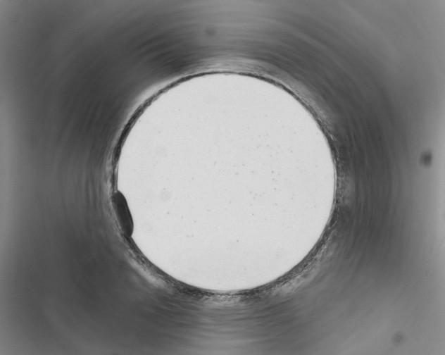 X0000116430846201001191509