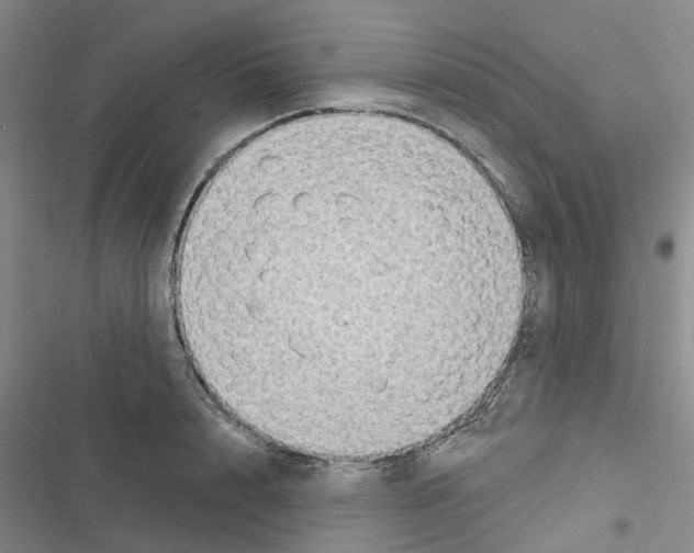 X0000116430848201001191509