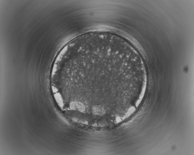 X0000116430850201001191509