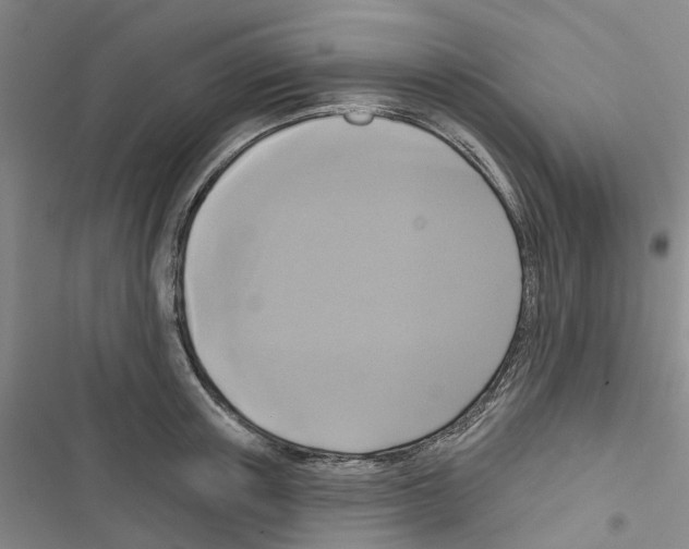 X0000116430851201001191509