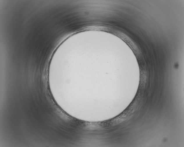 X0000116430852201001191509