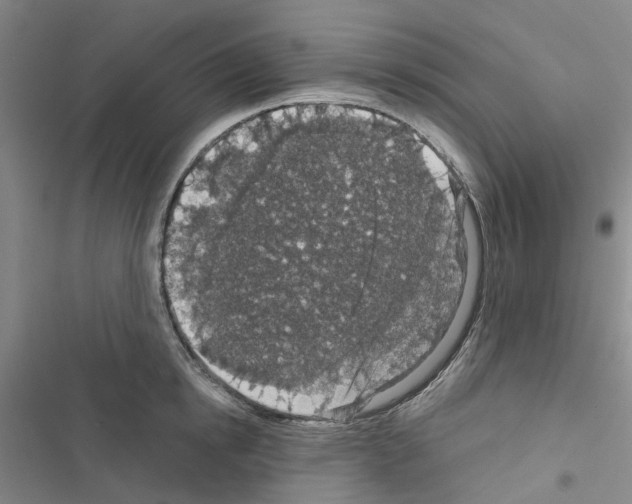 X0000116430854201001191509