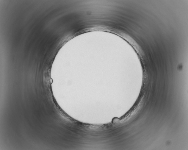 X0000116430857201001191509