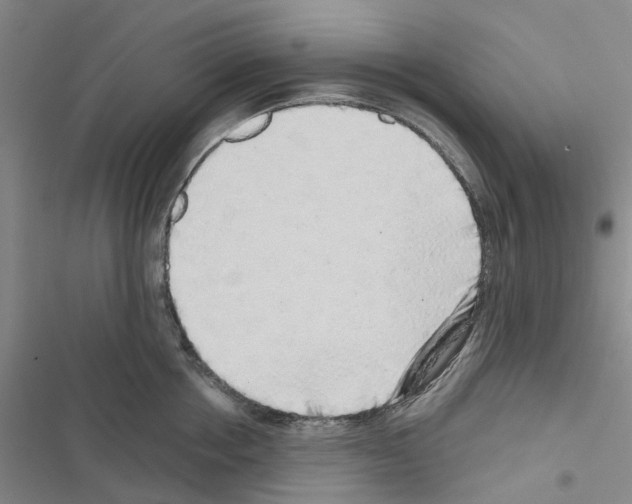 X0000116430858201001191509