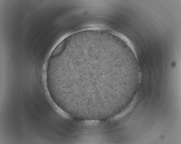 X0000116430859201001191509