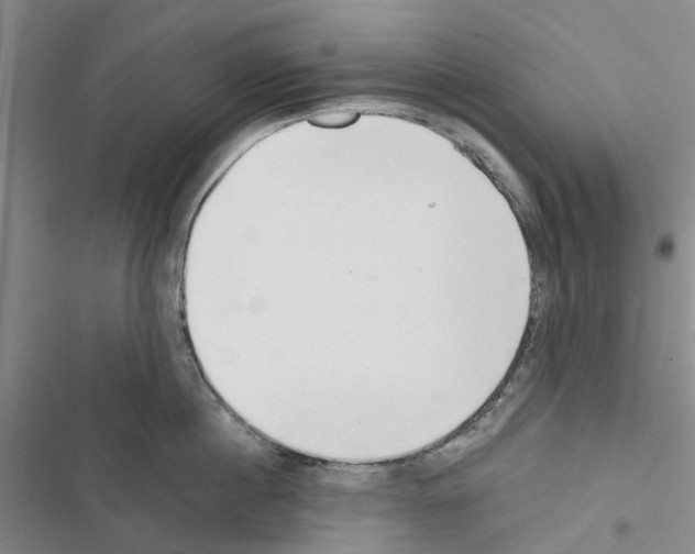 X0000116430860201001191509