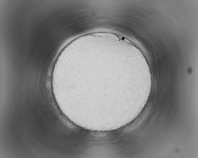 X0000116430862201001191509