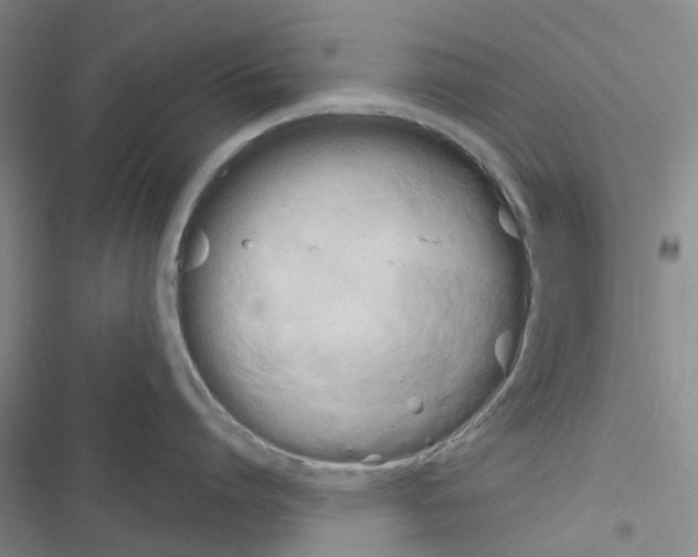 X0000116430864201001191509