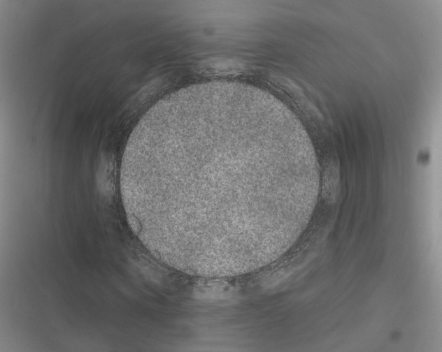 X0000116430866201001191509