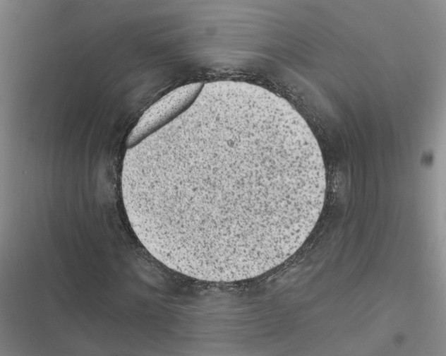 X0000116430868201001191509