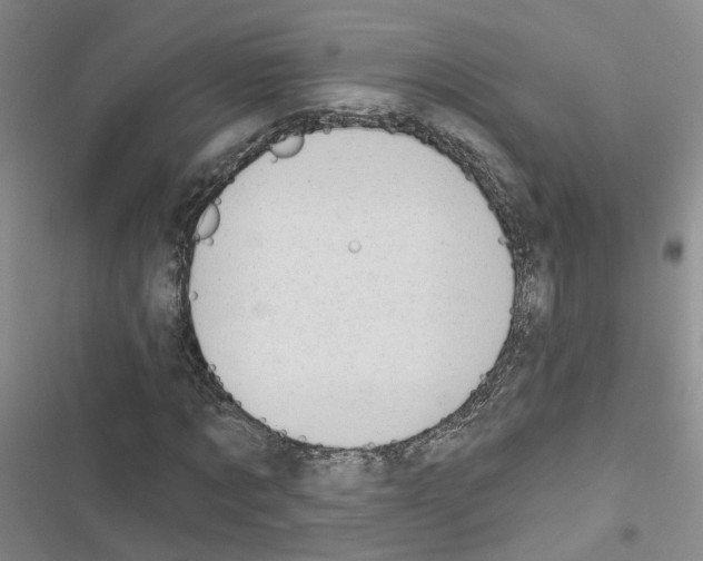 X0000116430869201001191509