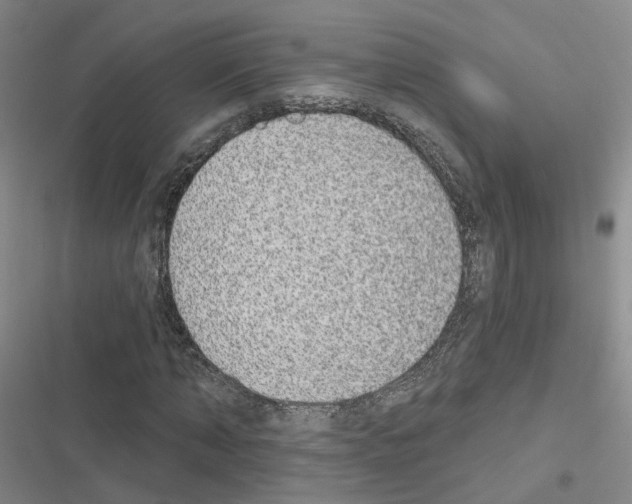 X0000116430870201001191509