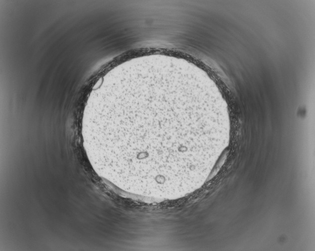 X0000116430872201001191509