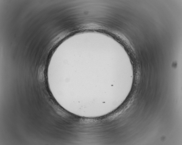 X0000116430873201001191509