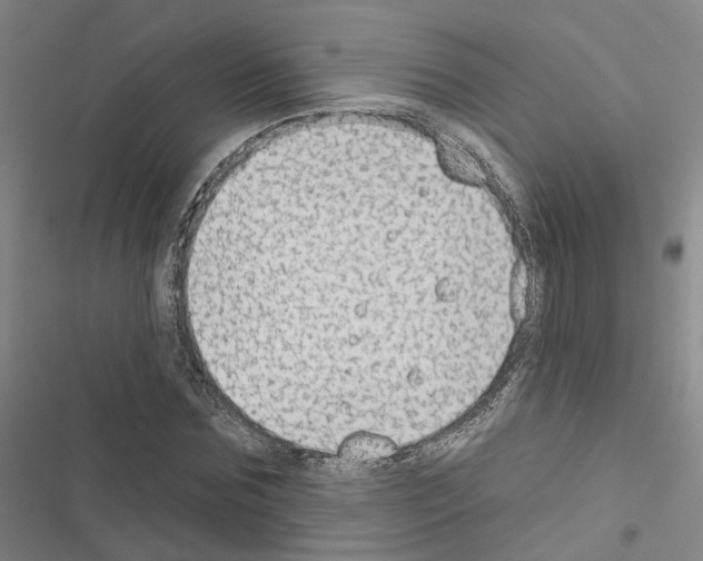 X0000116430875201001191509