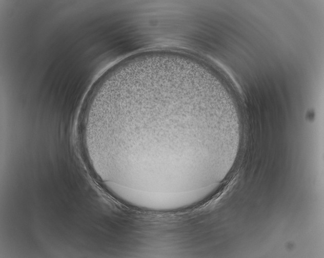 X0000116430876201001191509