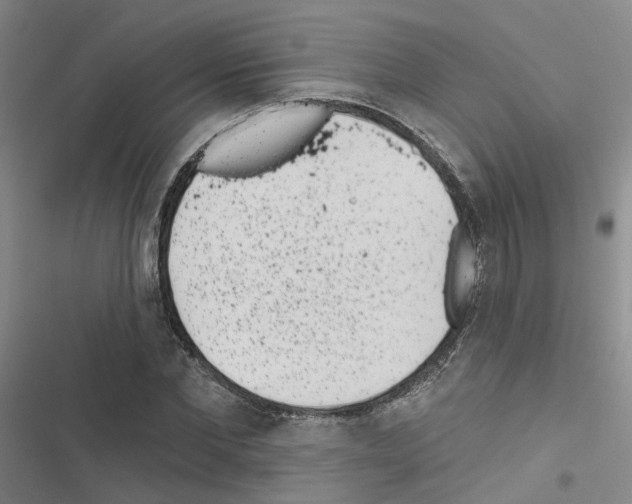 X0000116430877201001191509