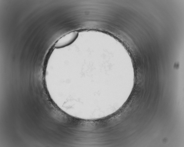 X0000116430880201001191508