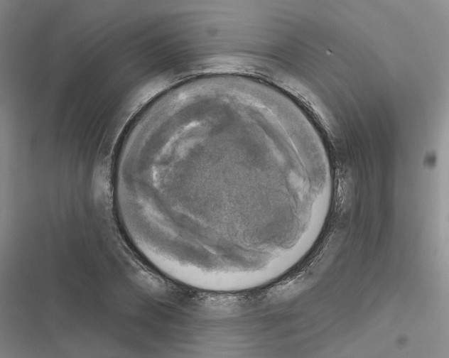 X0000116430882201001191508