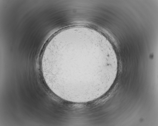 X0000116430883201001191508