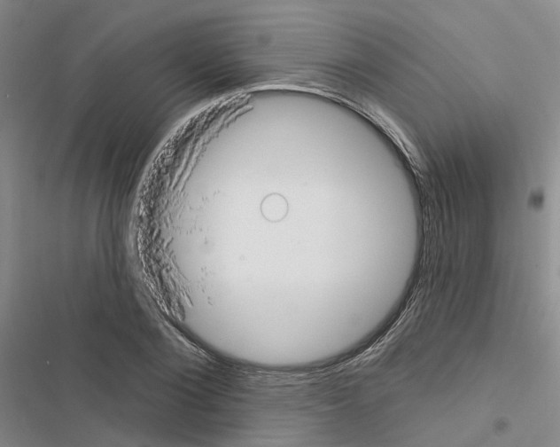 X0000116430884201001191508