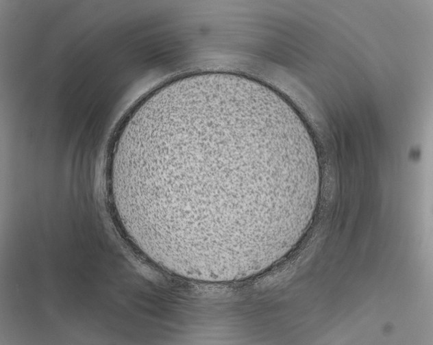 X0000116430886201001191508