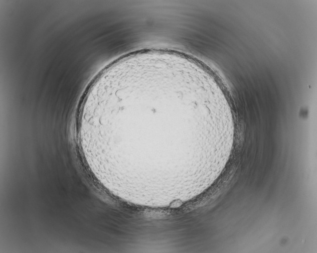 X0000116430887201001191508