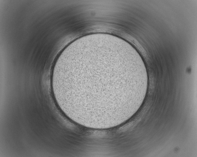 X0000116430890201001191508