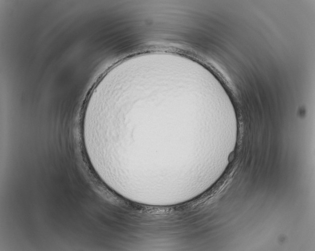 X0000116430891201001191508