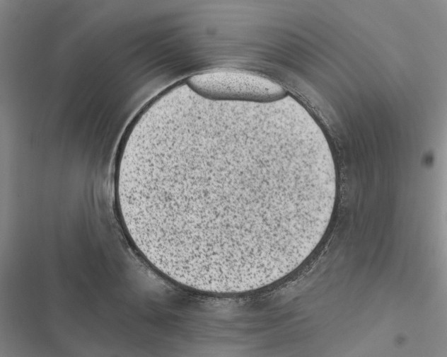 X0000116430892201001191508