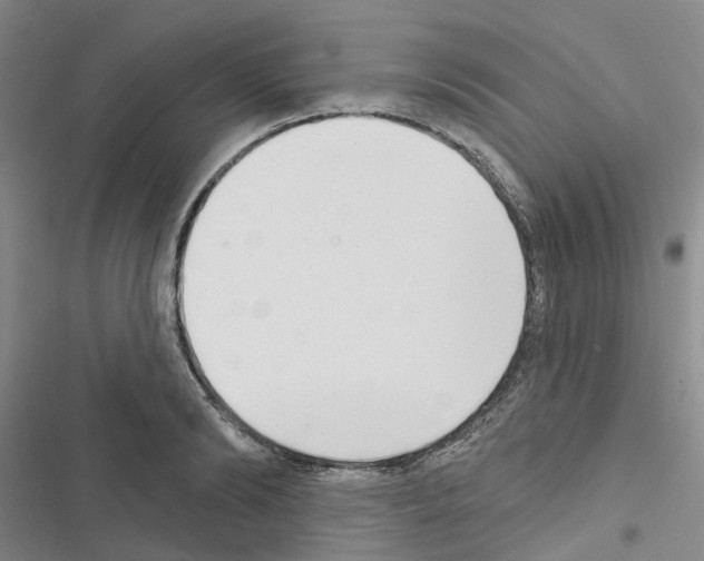 X0000116430894201001191508