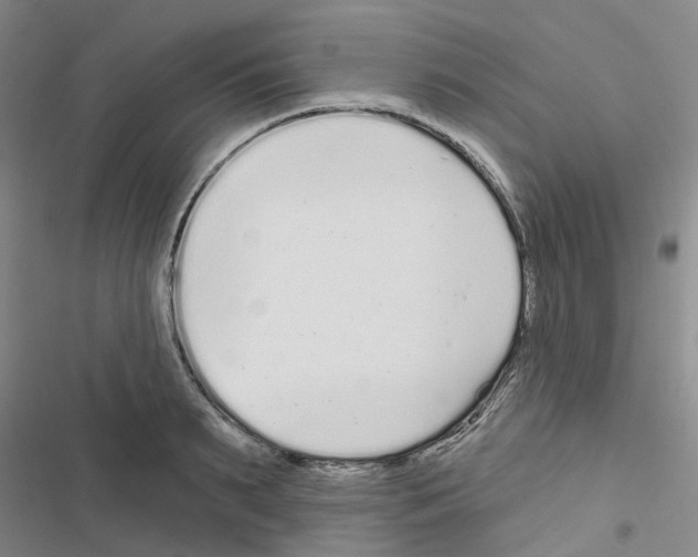 X0000116430895201001191508