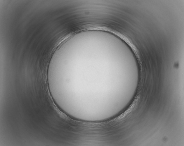 X0000116430897201001191508