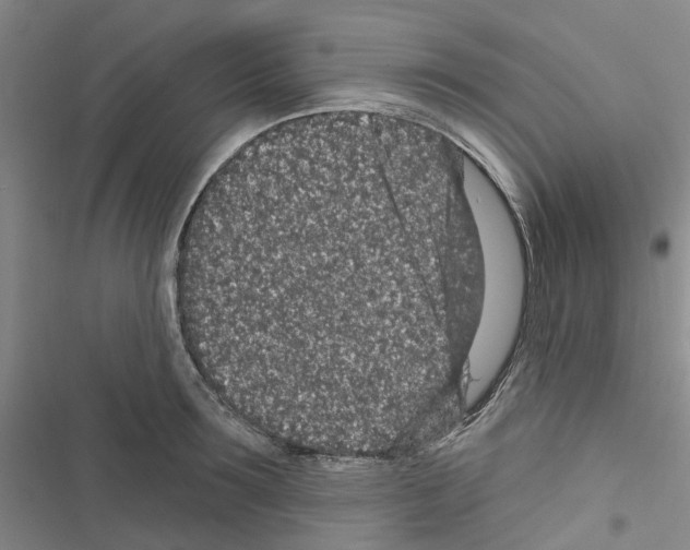 X0000116430899201001191508