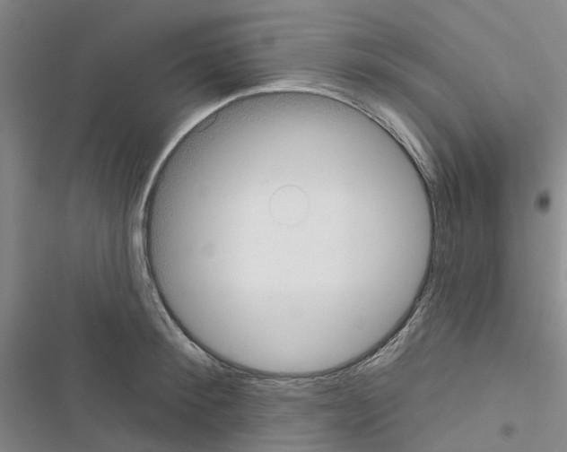 X0000116430900201001191508