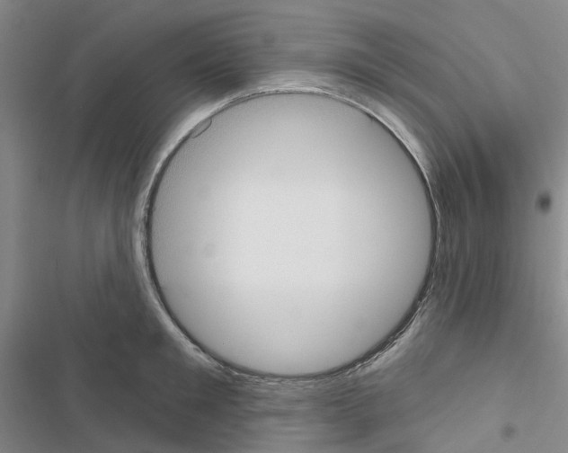X0000116430901201001191508