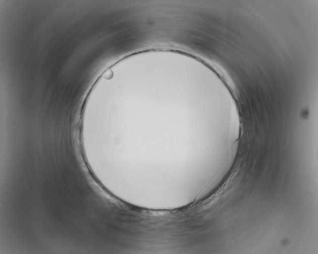 X0000116430903201001191508