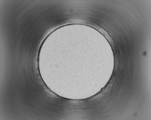 X0000116430904201001191508