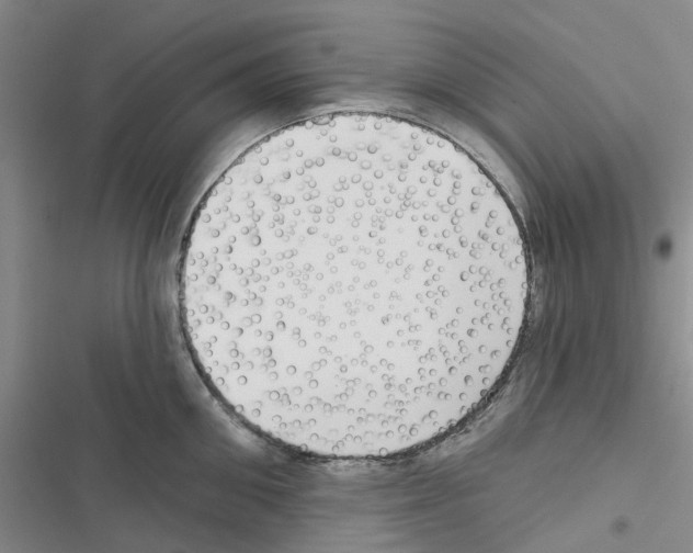 X0000116430906201001191508