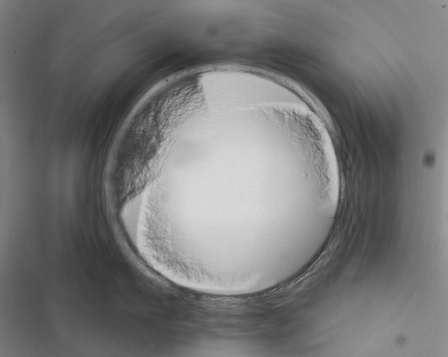 X0000116430911201001191508