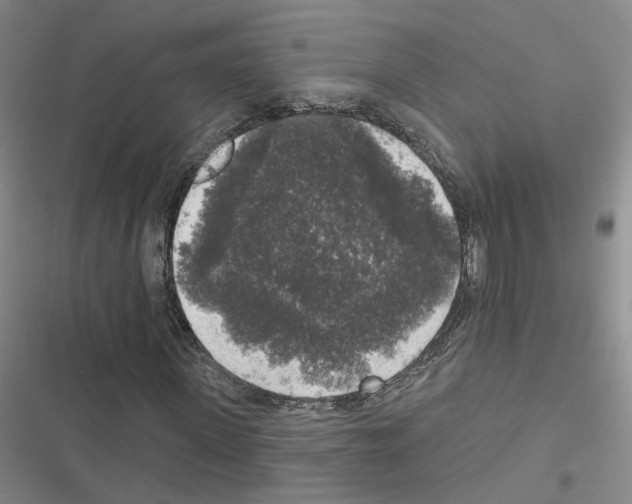 X0000116430915201001191507