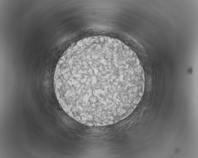 X0000116430917201001191507