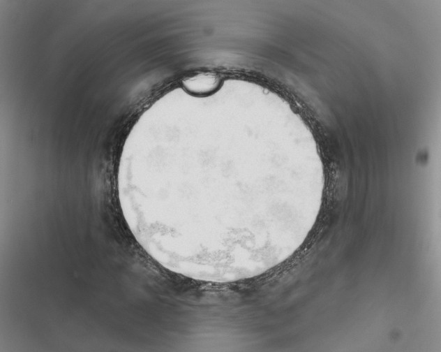 X0000116430918201001191507