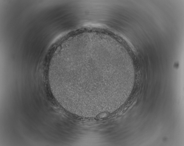 X0000116430919201001191507